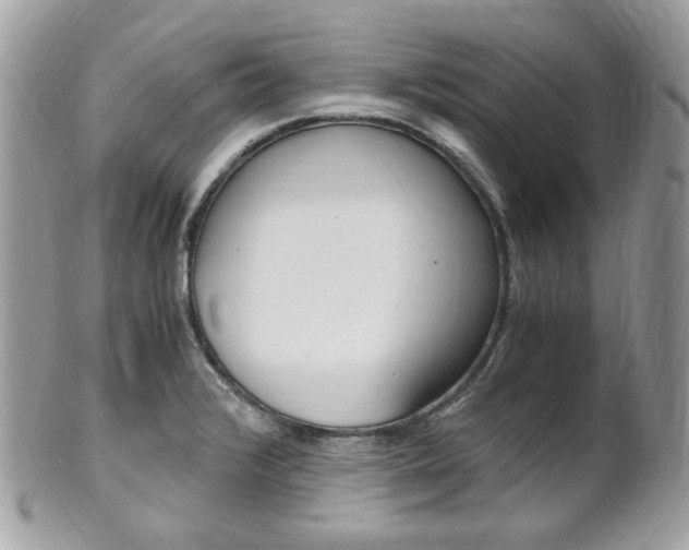 X0000101411376200807070956