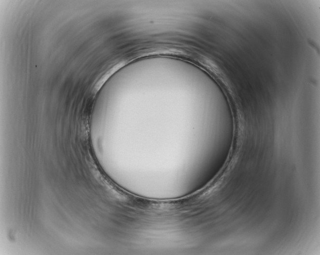 X0000101411377200807070956