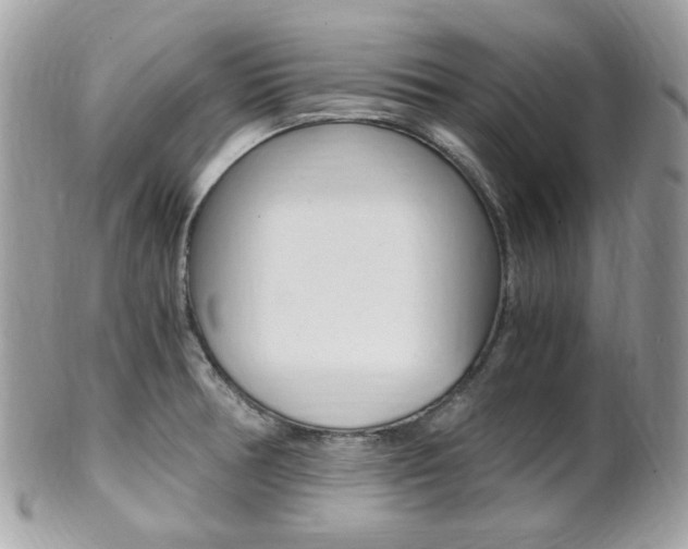 X0000101411378200807070956