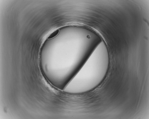 X0000101411379200807070956
