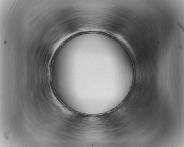 X0000101411380200807070956