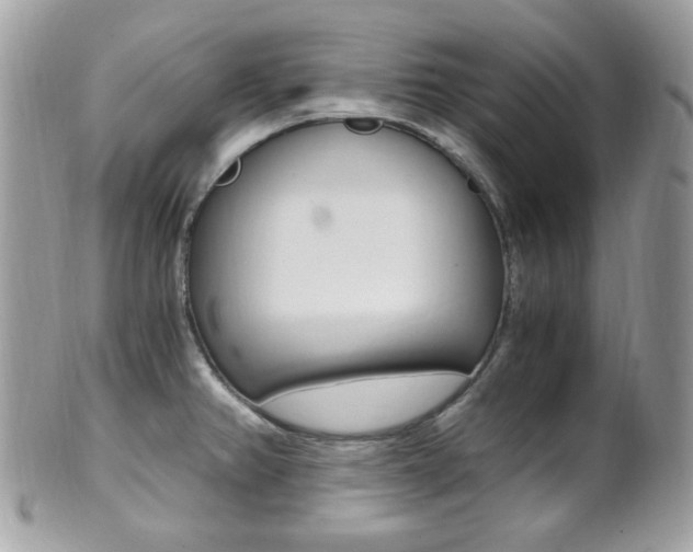 X0000101411382200807070956