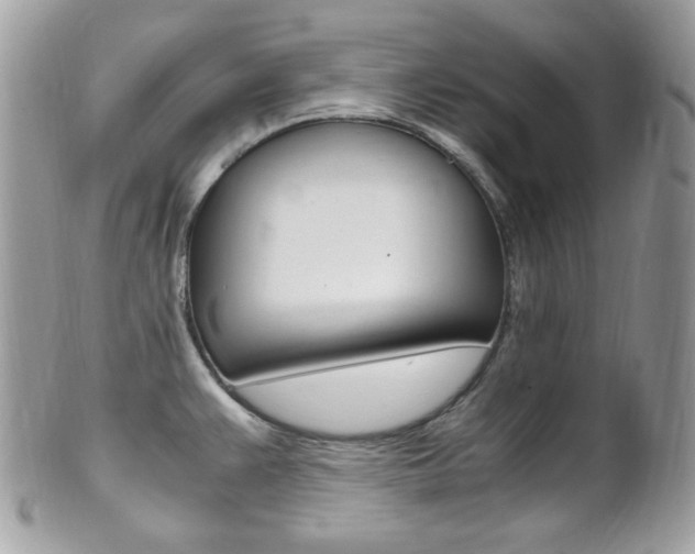X0000101411383200807070956