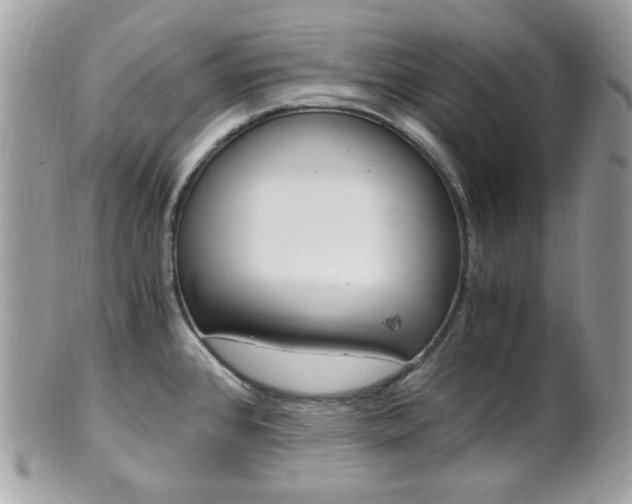 X0000101411384200807070956