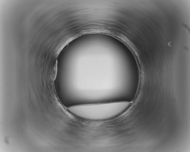 X0000101411385200807070956