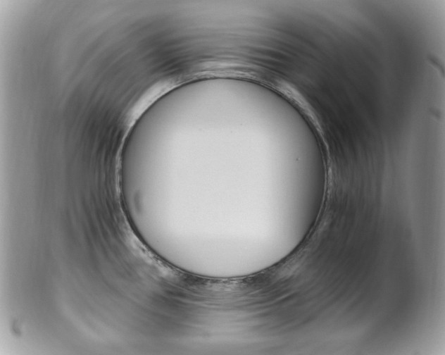 X0000101411386200807070956