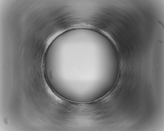 X0000101411387200807070956