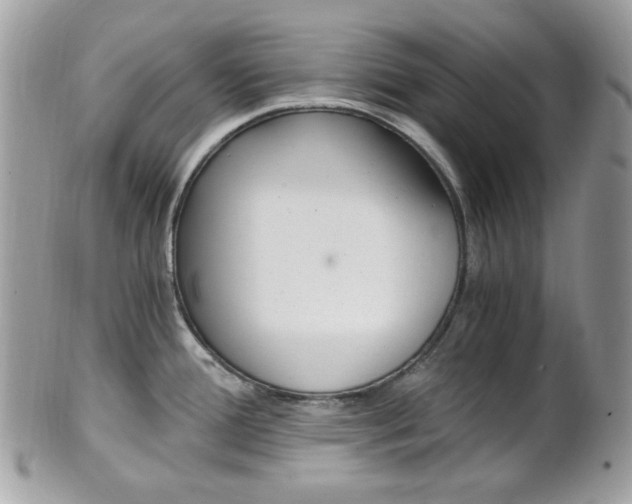 X0000101411388200807070956