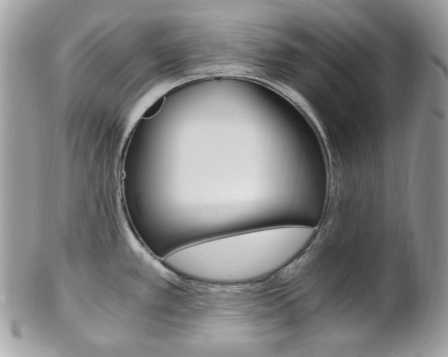 X0000101411389200807070956