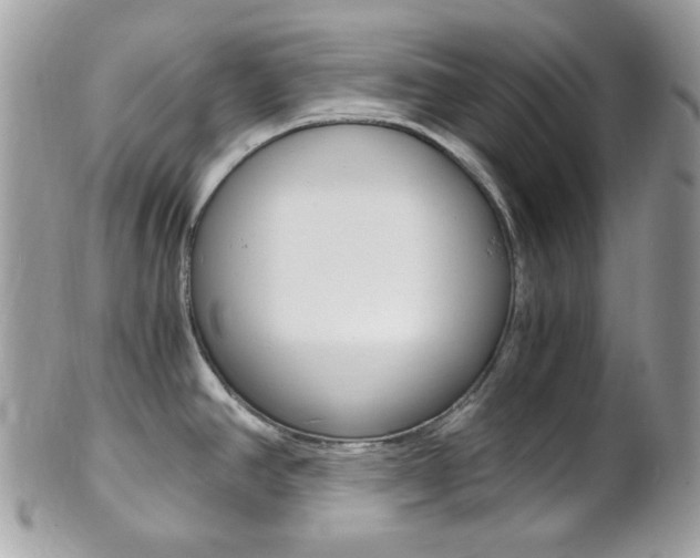 X0000101411390200807070956