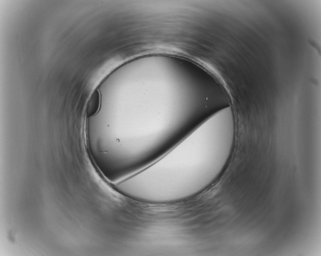 X0000101411391200807070956