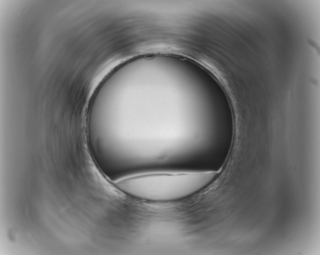 X0000101411392200807070956