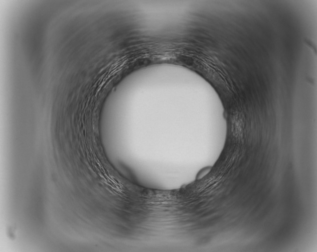 X0000101411393200807070955