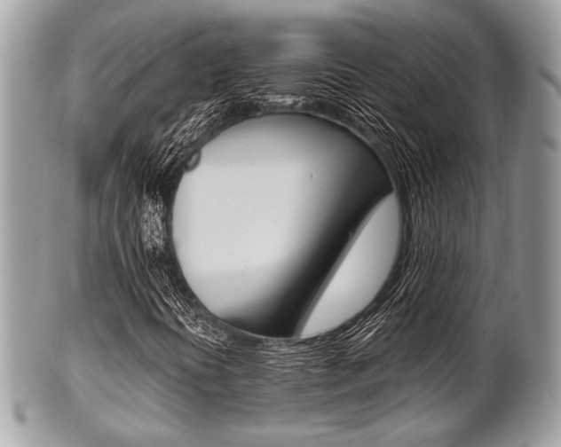 X0000101411394200807070955