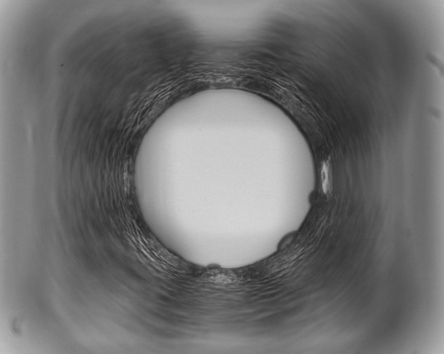 X0000101411395200807070955