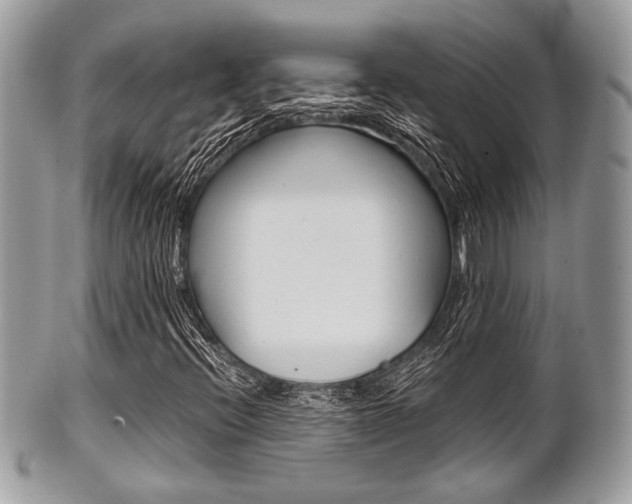 X0000101411396200807070955
