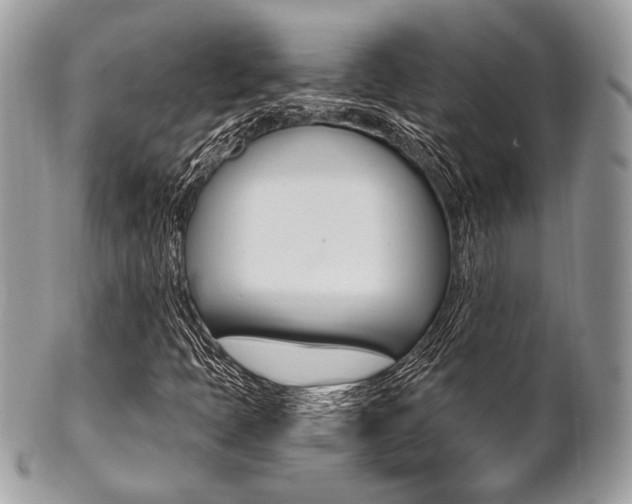X0000101411397200807070955