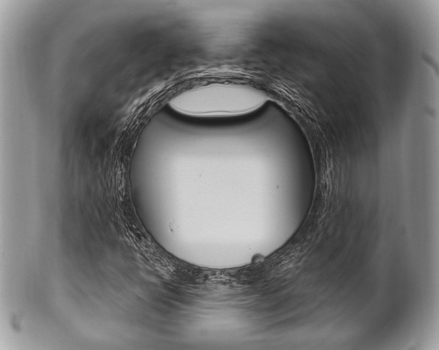 X0000101411398200807070955