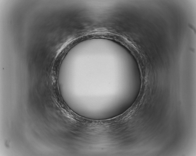 X0000101411400200807070955