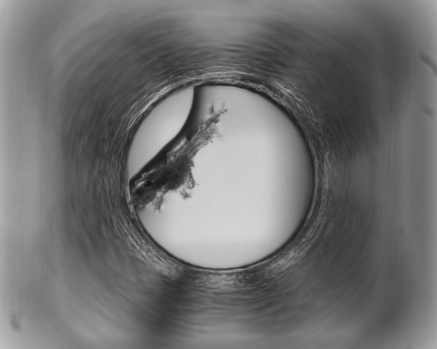 X0000101411401200807070955