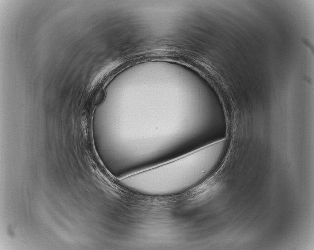 X0000101411402200807070955