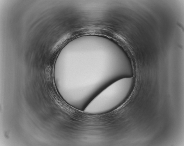 X0000101411403200807070955