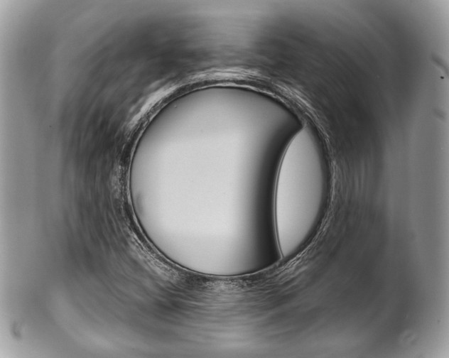 X0000101411404200807070955