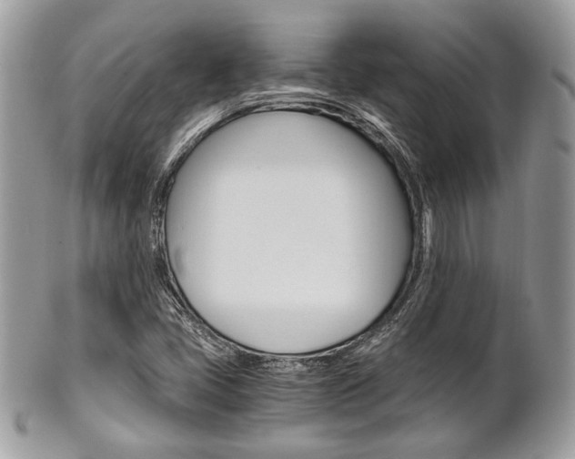 X0000101411405200807070955