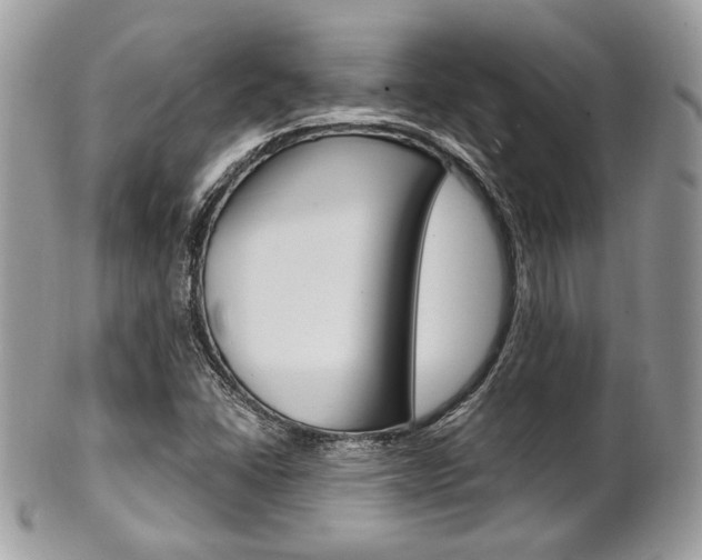 X0000101411406200807070955
