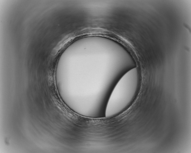 X0000101411407200807070955