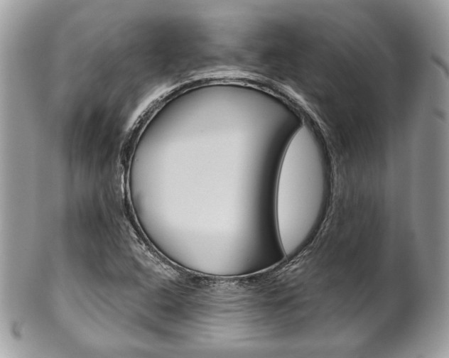 X0000101411408200807070955