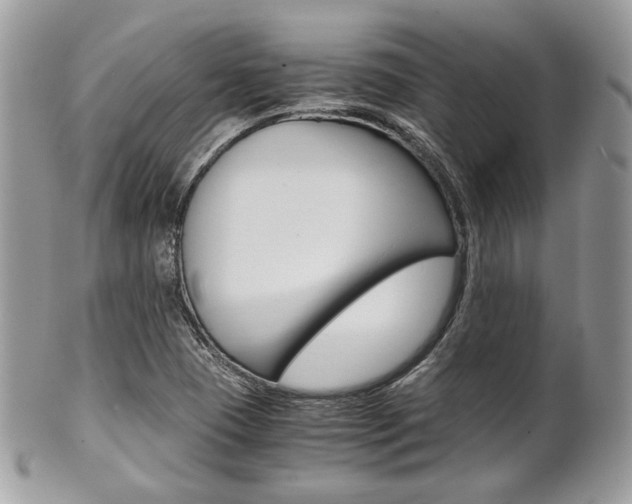 X0000101411409200807070955