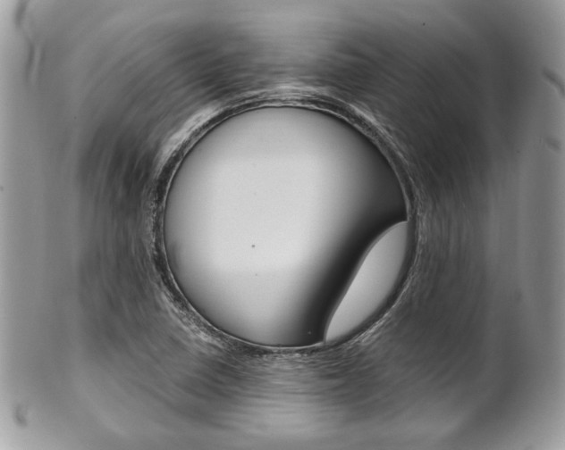 X0000101411410200807070955