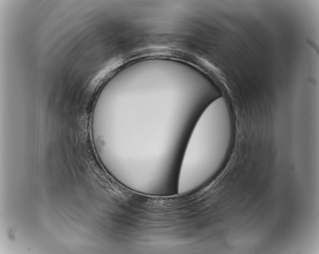 X0000101411411200807070955