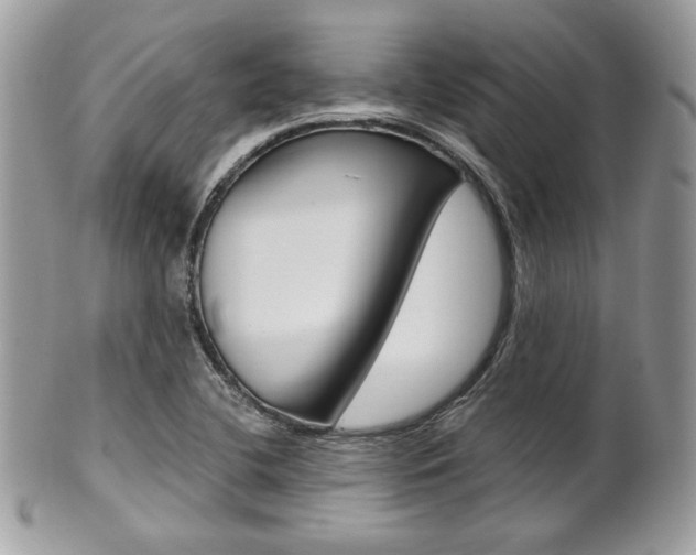 X0000101411412200807070955