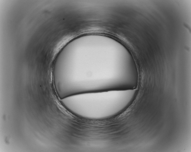 X0000101411413200807070955