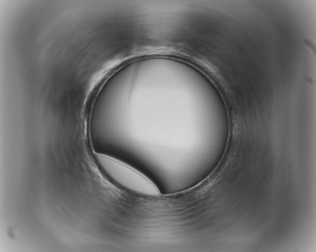 X0000101411414200807070955