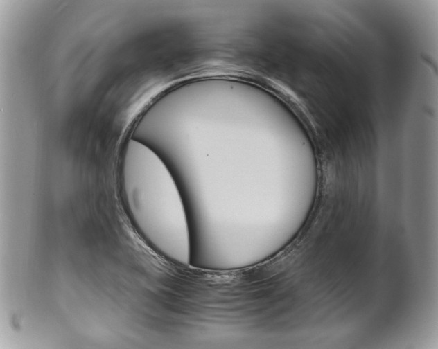 X0000101411415200807070955