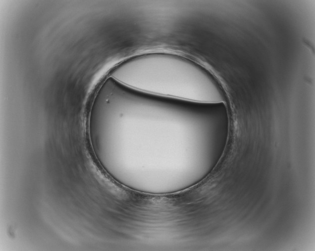 X0000101411416200807070955