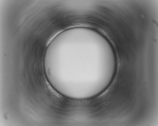 X0000101411417200807070955
