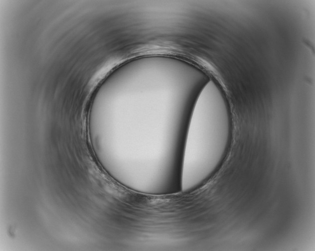 X0000101411419200807070955