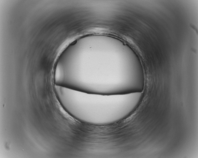 X0000101411421200807070955