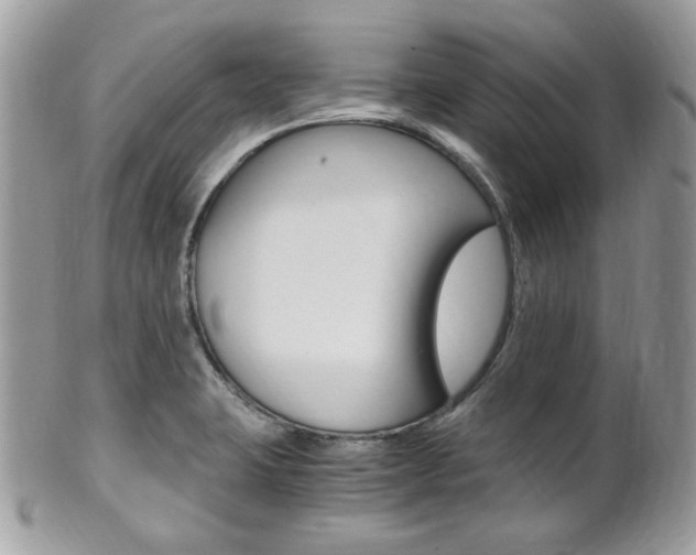X0000101411423200807070955
