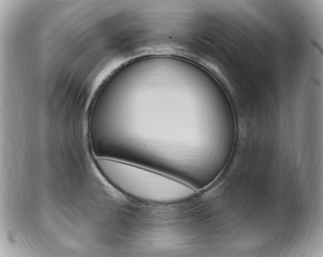X0000101411424200807070955