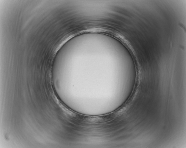 X0000101411425200807070955