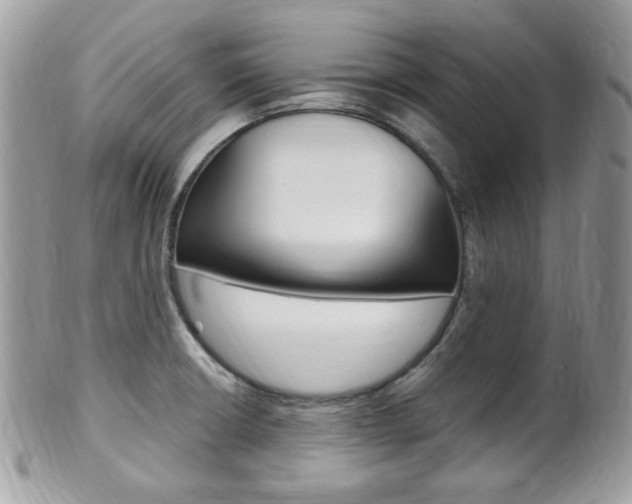 X0000101411426200807070955