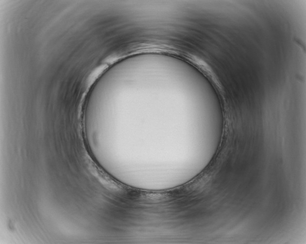 X0000101411427200807070955
