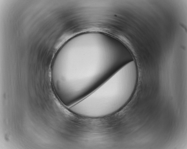 X0000101411428200807070955