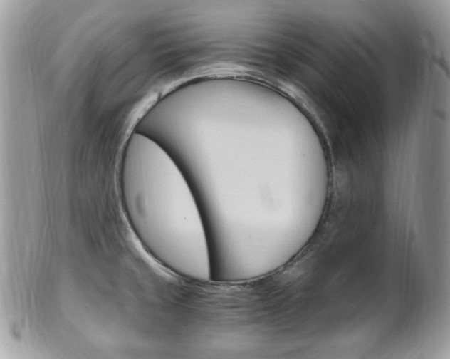 X0000101411429200807070955