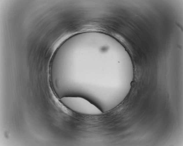 X0000101411431200807070955